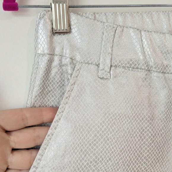 Bevy Flog Nansi Pants In Silver Python